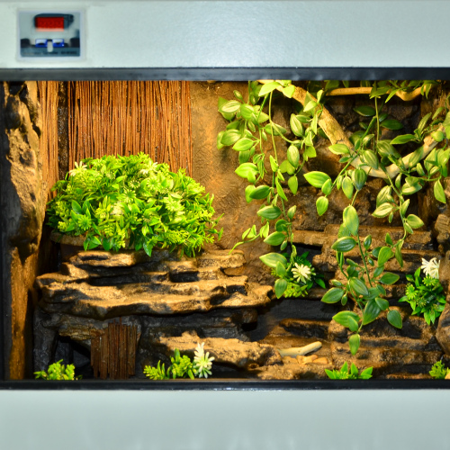 Designer Dry Enclosure (Medium) REQUEST QUOTE